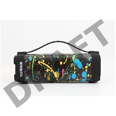 Портативные аудиосистемы TELEFUNKEN TF-PS1241B(принт Paint)