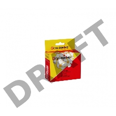 Картридж CG-48140 для принтеров Epson Stylus Photo R200/R300/RX500 Black водн Colouring