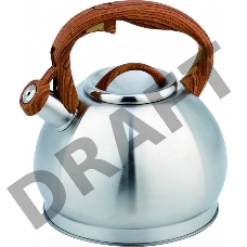 Чайник для плиты TECO TC-121, нержавейка, 3,0 л со свистком