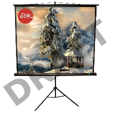 Экран Sakura 200x200см TriScreen 1:1 напольный рулонный белый  111' Matt White (MW), черный корпус