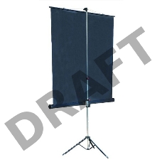 Экран на треноге Lumien 180x180см Master View LMV-100103 1:1 напольный рулонный