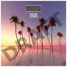 Весы напольные электронные HOMESTAR HS-6001S