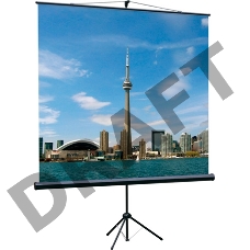 Экраны LUMIEN Lumien Экран на треноге 180x180 см Eco View LEV-100102 1:1 с возможностью настенного крепления
