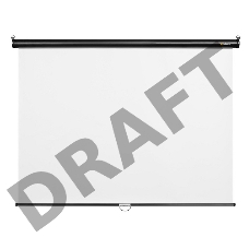 Экран 160x160см Digis Optimal-C DSOC-1101 1:1 настенно-потолочный рулонный