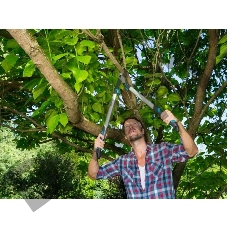 GARDENA Сучкорез EnergyCut 600B 12006-20.000.00