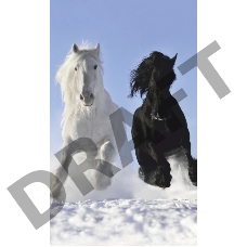 Грелка электрическая - Обогреватель настенный ЭОБН-0,4-220-УХЛ4, Дыхание тепла, Пегас, Брест (1020*610мм), 400 Вт (19с425)