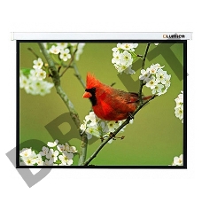 Экран Lumien 305x305см Master Picture LMP-100107 1:1 настенно-потолочный рулонный