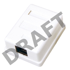 Розетка компьютерная 1-м ОП RJ45 CAT 5E бел. REXANT 03-0121