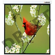Экраны LUMIEN LUMIEN Master Picture LMP-100129 220*220 1:1, черная кайма по периметру