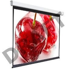 Экран 240x240см Digis Electra-F DSEF-1108 1:1 настенно-потолочный рулонный (моторизованный привод)