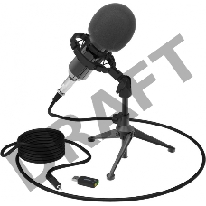 Микрофон RITMIX RDM-160 Black