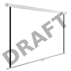 Экран Cactus 220x220см WallExpert CS-PSWE-220x220-WT 1:1 настенно-потолочный рулонный