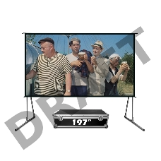 Экран Cinema S'OK серии Fast Folder SCPSFF-400x300FR, прямая проекция, 197 дюймов 4:3, черный кейс