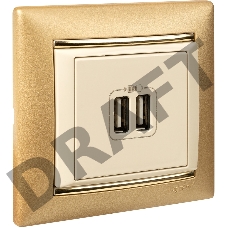 Valena Сл. кость Розетка 2-ая USB | 774170 | Legrand