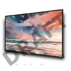 Профессиональный дисплей GoodView 55