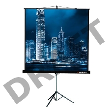 Экран на треноге Lumien 203x203см Master View LMV-100109 1:1 напольный рулонный